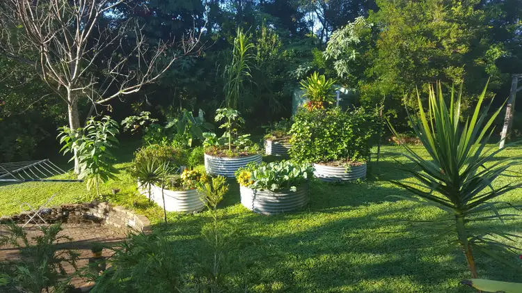 Seventh view of Homely house listing, 47 Mapleton Falls Road, Mapleton QLD 4560