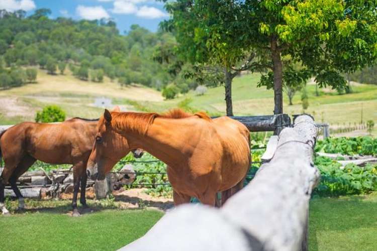 Main view of Homely residentialLand listing, 57 Montego Hills Drive, Kingsholme QLD 4208