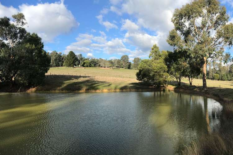 Third view of Homely acreageSemiRural listing, 55 Gypsy Lane, Buxton VIC 3711