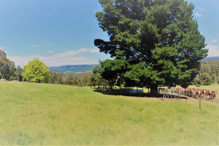 Fourth view of Homely acreageSemiRural listing, 55 Gypsy Lane, Buxton VIC 3711