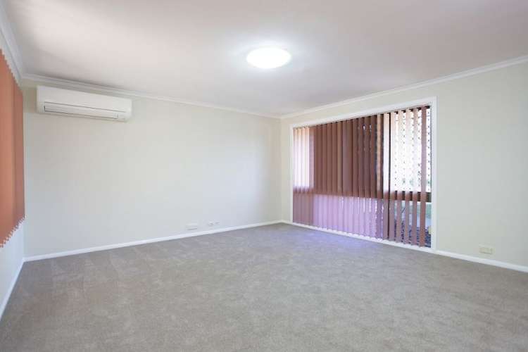 Third view of Homely house listing, 4 Jennifer Street, Birkdale QLD 4159