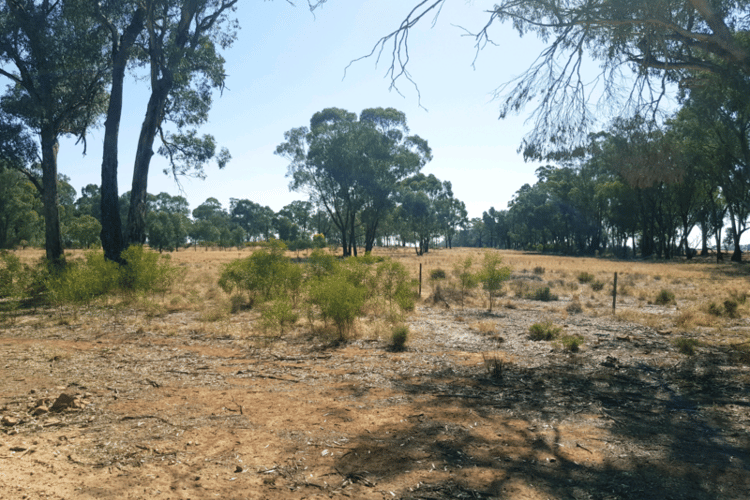 Seventh view of Homely residentialLand listing, LOT Lots 2 - 7, DP 14374 Alleena Road, Alleena NSW 2671