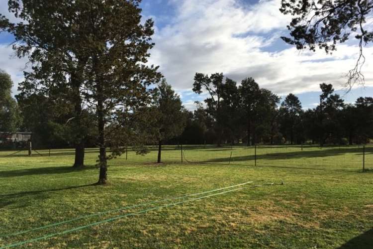 Fifth view of Homely house listing, Lot 8 Jerilderie Street, Berrigan NSW 2712