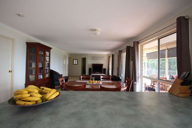 Sixth view of Homely acreageSemiRural listing, 1668 Tamborine-Oxenford Rd, Wongawallan QLD 4210