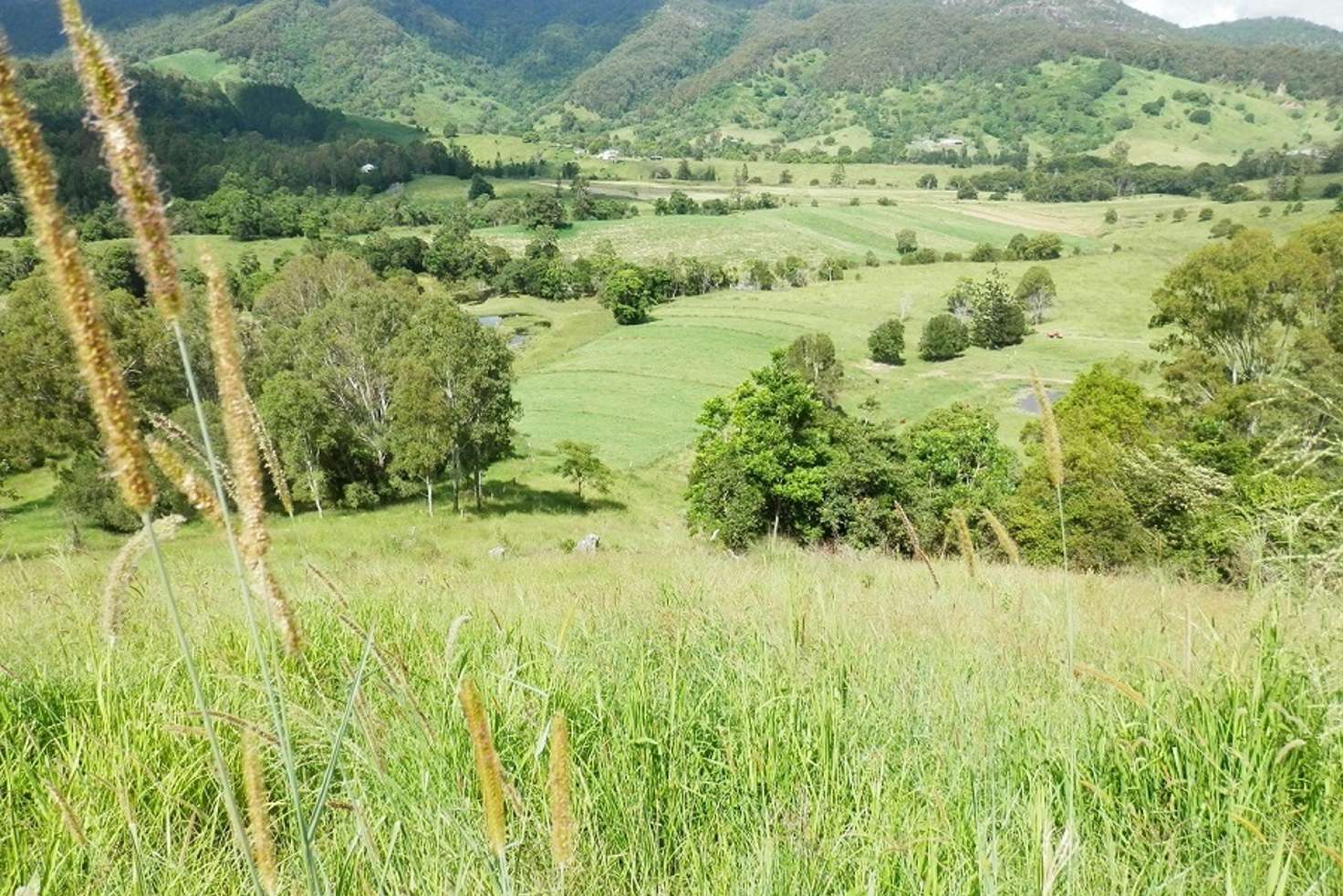 Main view of Homely acreageSemiRural listing, 92 Gap Road, Cedar Pocket QLD 4570