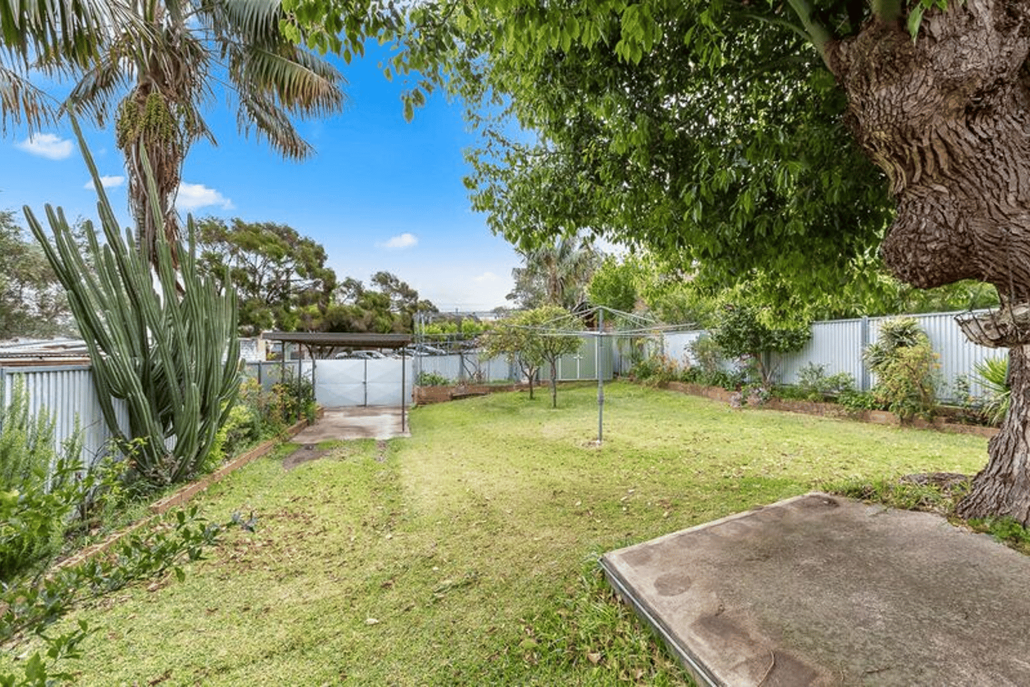 Main view of Homely house listing, 11 Durham Street, Dulwich Hill NSW 2203