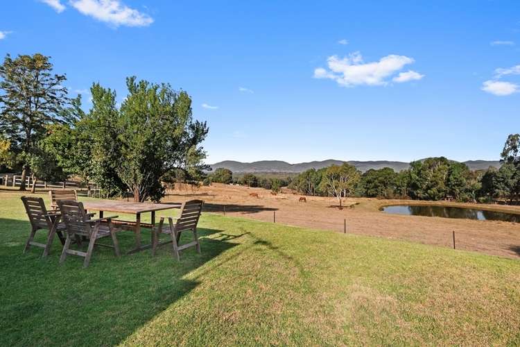 99 Back Creek road, Yackandandah VIC 3749