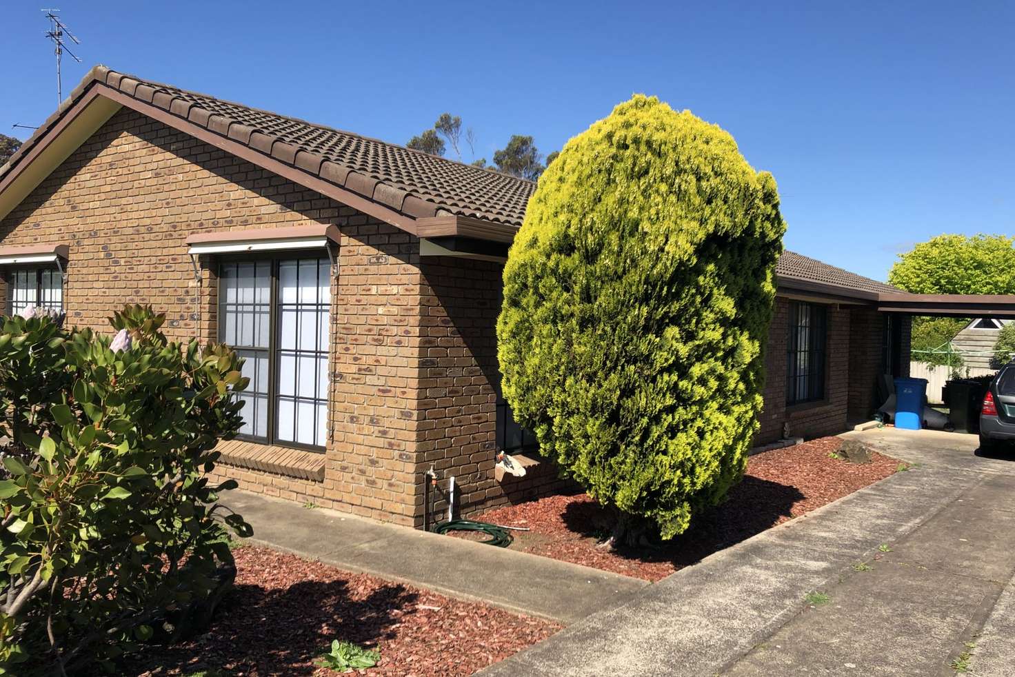 Main view of Homely house listing, 5 Duffield Place, Mount Gambier SA 5290