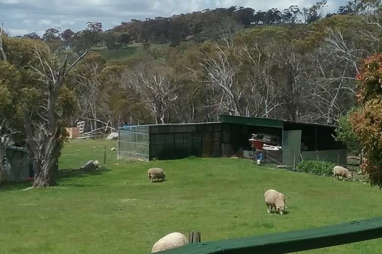 Seventh view of Homely acreageSemiRural listing, 6074 Snowy Mts Hwy, Adaminaby NSW 2629