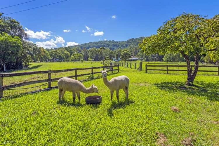 Third view of Homely acreageSemiRural listing, 48 Rainford Drive, Boambee NSW 2450