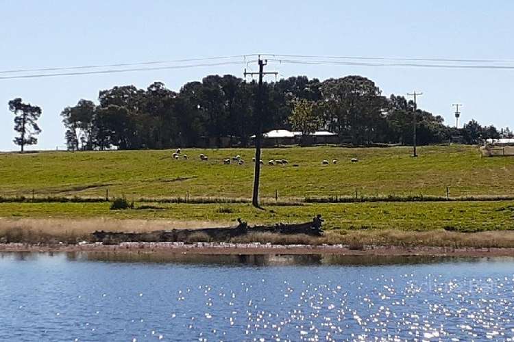 Main view of Homely ruralOther listing, 166 Macquarie View Rd, Narromine NSW 2821