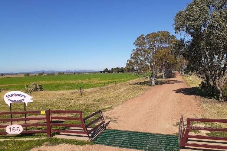 Third view of Homely ruralOther listing, 166 Macquarie View Rd, Narromine NSW 2821
