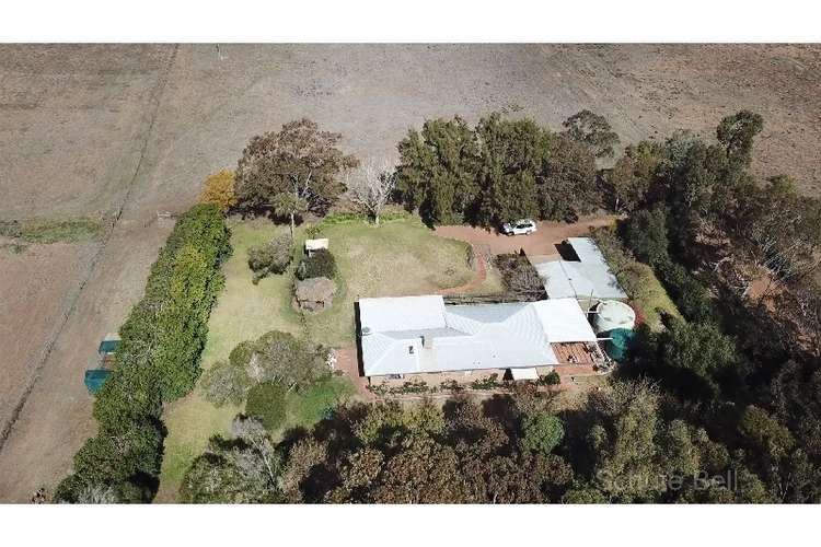 Fourth view of Homely ruralOther listing, 166 Macquarie View Rd, Narromine NSW 2821