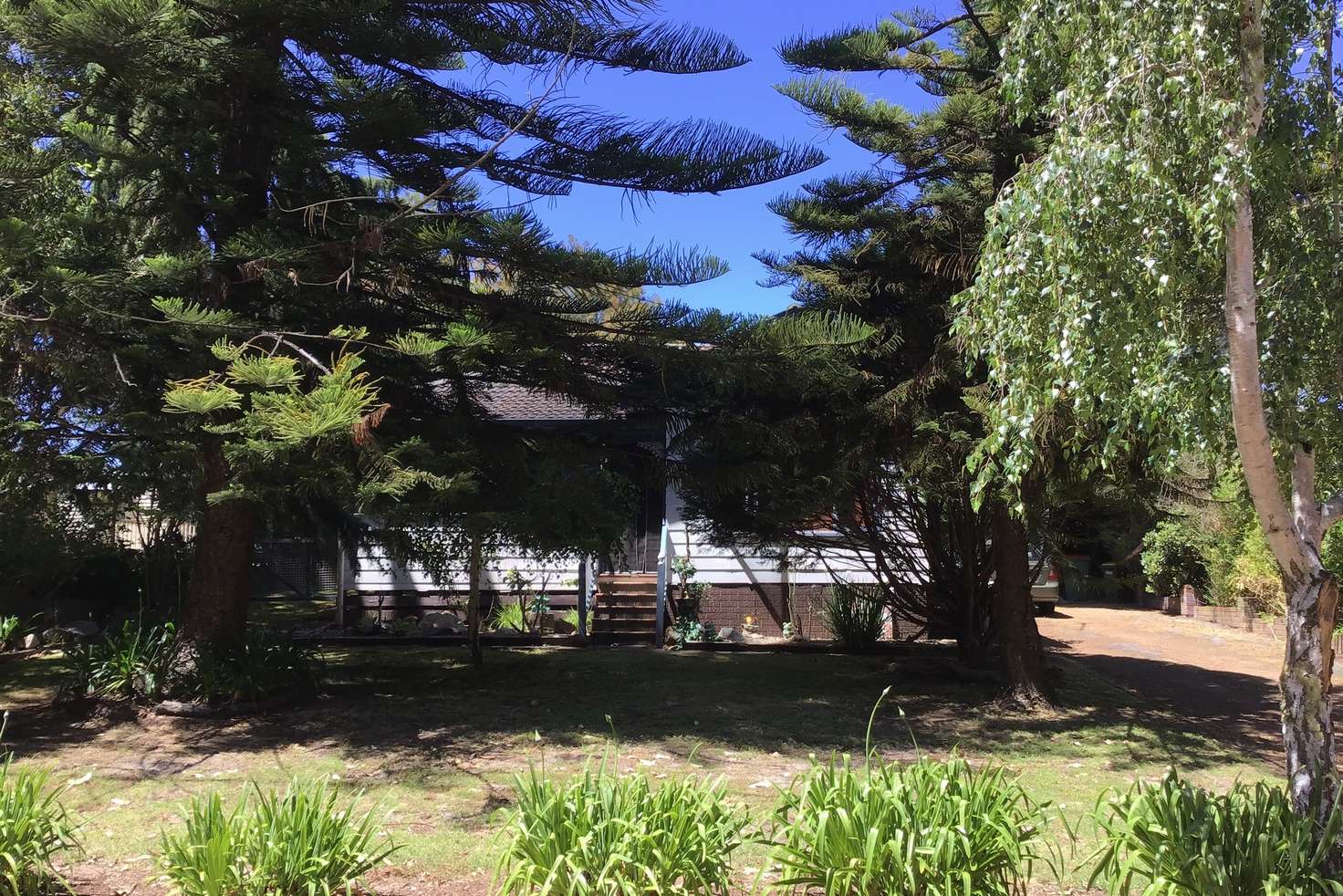 Main view of Homely house listing, 14 Morgan Rd, Denmark WA 6333