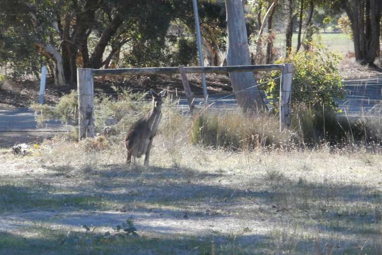 Seventh view of Homely residentialLand listing, 425 Chauvel Road, Kendenup WA 6323