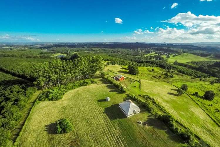 Fifth view of Homely farmlet listing, 1930 Dunoon Road, Dunoon NSW 2480