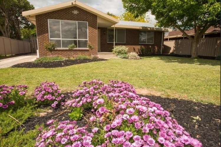 Main view of Homely house listing, 45 Market Street, Benalla VIC 3672