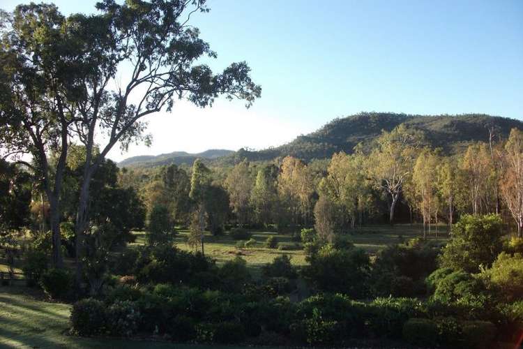 Main view of Homely house listing, 478 Forestry Road, Bluewater Park QLD 4818