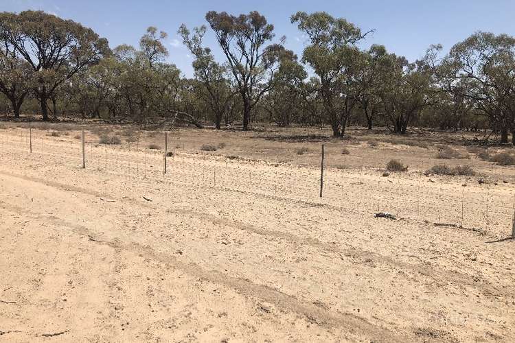 Fifth view of Homely livestock listing, - Corella, Bourke NSW 2840