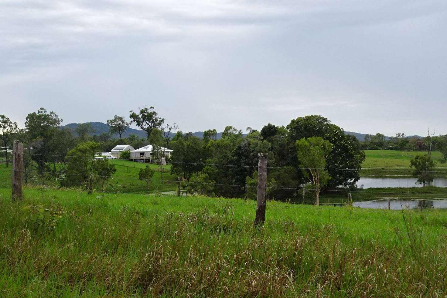 Main view of Homely acreageSemiRural listing, 17 McDougall Road, Julatten QLD 4871