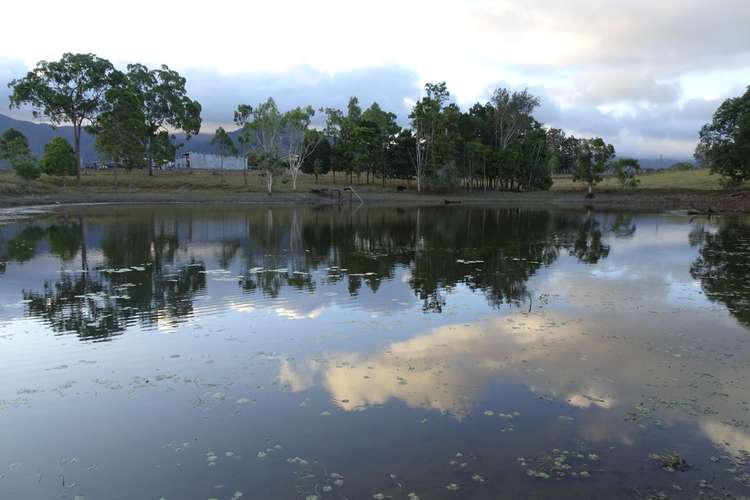 Fourth view of Homely acreageSemiRural listing, 17 McDougall Road, Julatten QLD 4871
