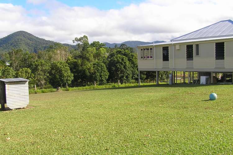 Seventh view of Homely acreageSemiRural listing, 17 McDougall Road, Julatten QLD 4871