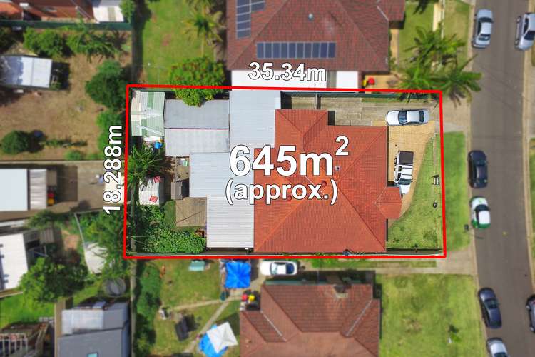 Main view of Homely house listing, 6 Freeman Avenue, Canley Vale NSW 2166