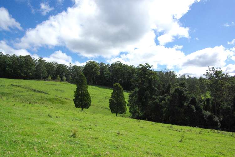 Main view of Homely residentialLand listing, Lot 12 Schultz Road, Billys Creek NSW 2453