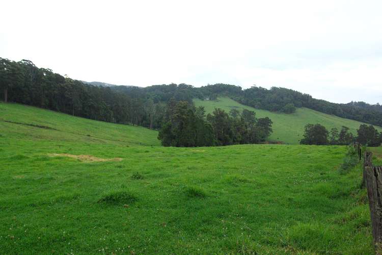 Second view of Homely residentialLand listing, Lot 12 Schultz Road, Billys Creek NSW 2453