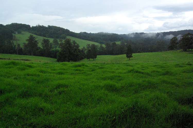 Third view of Homely residentialLand listing, Lot 12 Schultz Road, Billys Creek NSW 2453