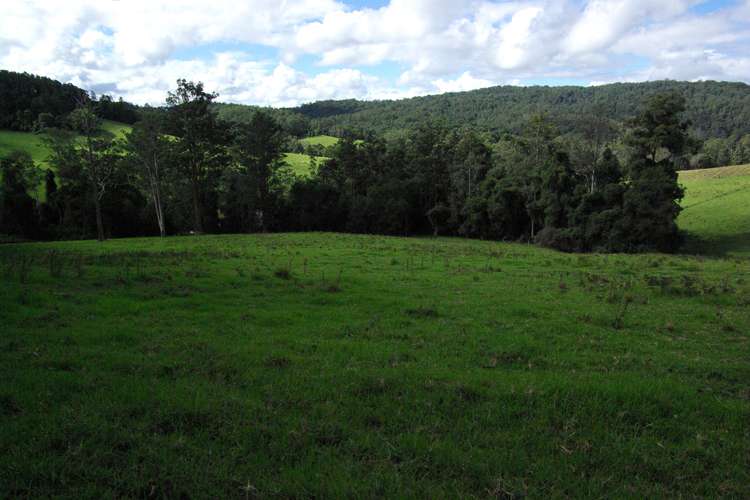 Fifth view of Homely residentialLand listing, Lot 12 Schultz Road, Billys Creek NSW 2453