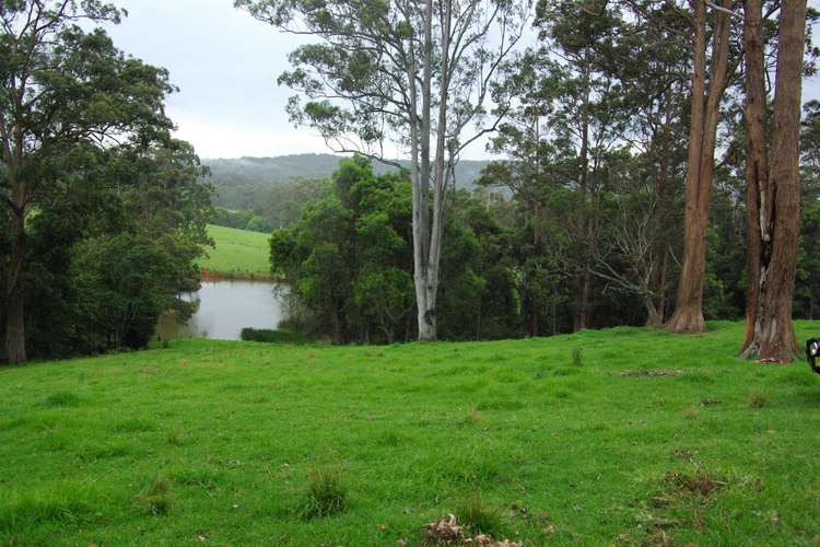 Seventh view of Homely residentialLand listing, Lot 12 Schultz Road, Billys Creek NSW 2453