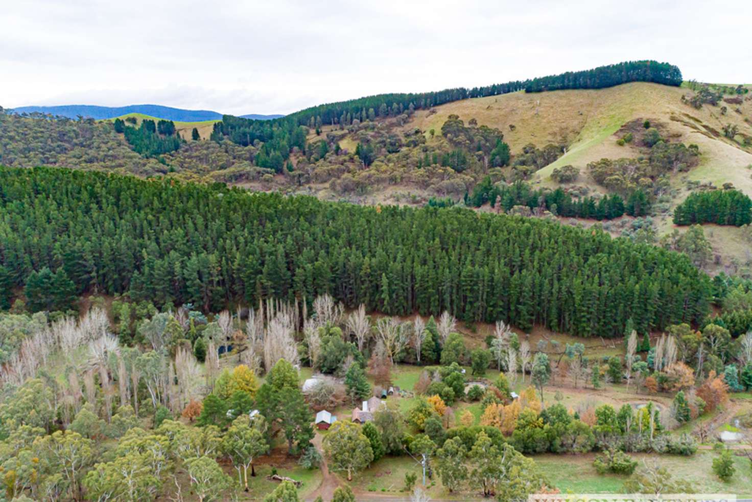 Main view of Homely house listing, 1573 BROADFORD FLOWERDALE ROAD, Strath Creek VIC 3658