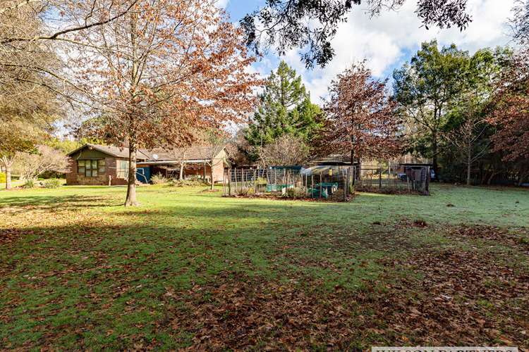 Fifth view of Homely house listing, 1573 BROADFORD FLOWERDALE ROAD, Strath Creek VIC 3658