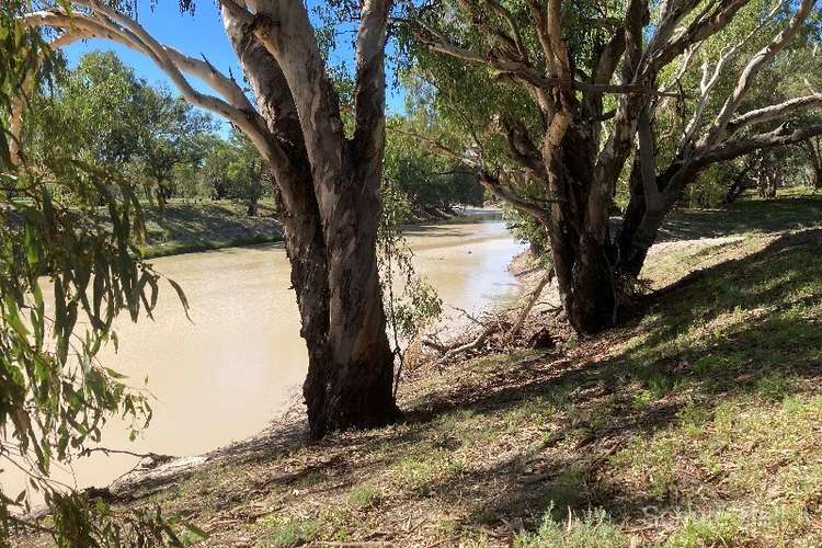 Fourth view of Homely livestock listing, . West Mooculta, Bourke NSW 2840