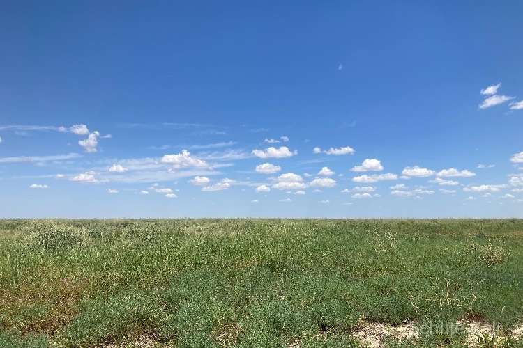 Fifth view of Homely livestock listing, . West Mooculta, Bourke NSW 2840