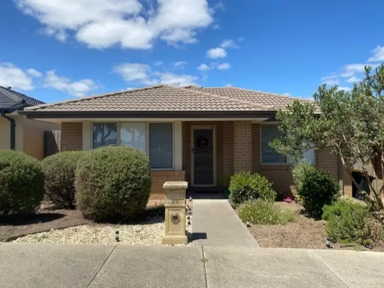28 CASUARINA STREET