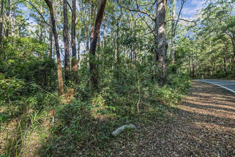 Main view of Homely residentialLand listing, 1922 Springbrook Road, Springbrook QLD 4213