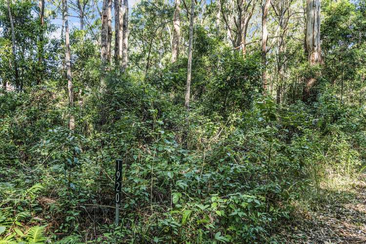 Second view of Homely residentialLand listing, 1922 Springbrook Road, Springbrook QLD 4213