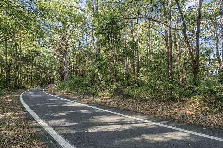 Third view of Homely residentialLand listing, 1922 Springbrook Road, Springbrook QLD 4213