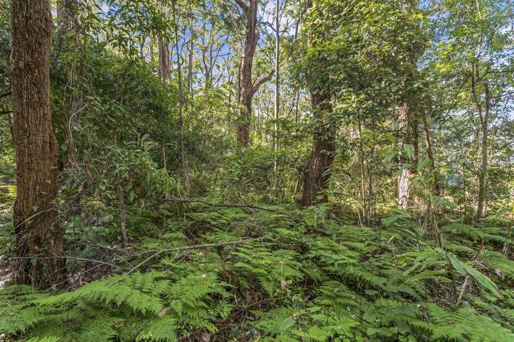 Sixth view of Homely residentialLand listing, 1922 Springbrook Road, Springbrook QLD 4213
