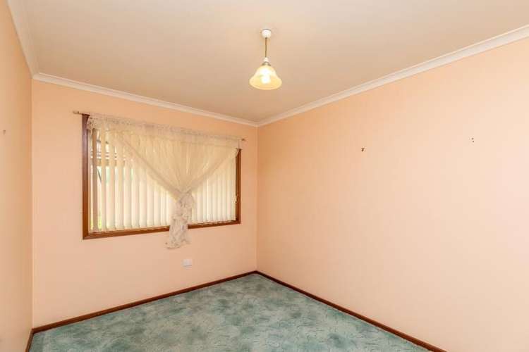Third view of Homely unit listing, 3/34 Ashmont Avenue, Ashmont NSW 2650