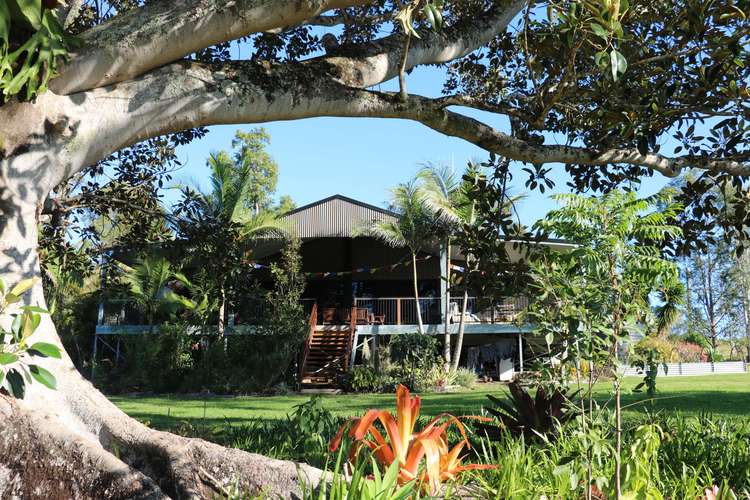 Sixth view of Homely acreageSemiRural listing, 26 Shipway Road, Nimbin NSW 2480