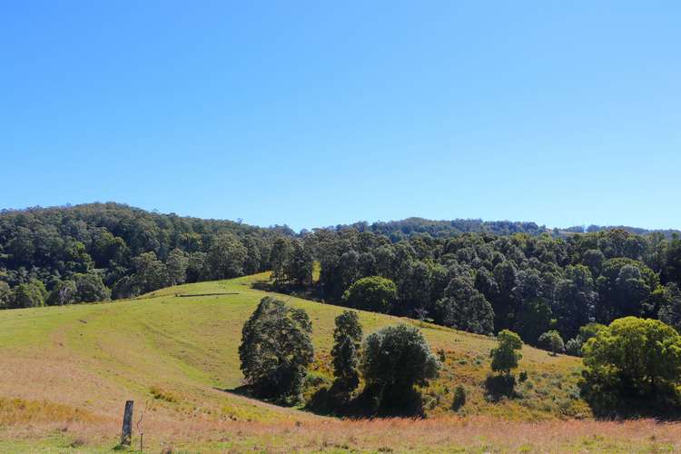 Third view of Homely lifestyle listing, 591 Tuntable Creek Road, Tuntable Creek NSW 2480