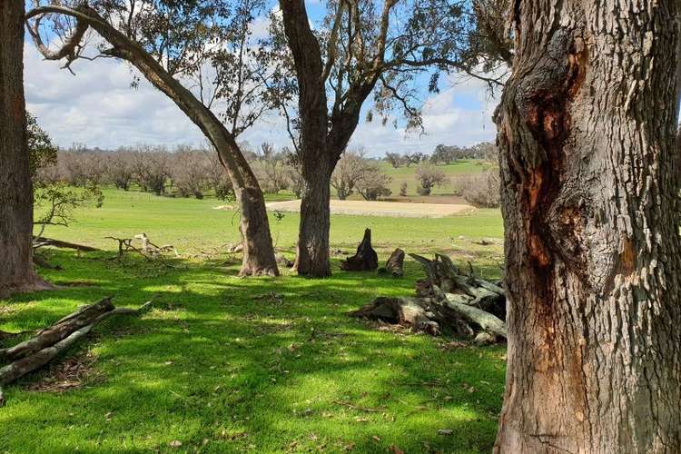 Main view of Homely ruralOther listing, 118 Banks Road, Boyup Brook WA 6244