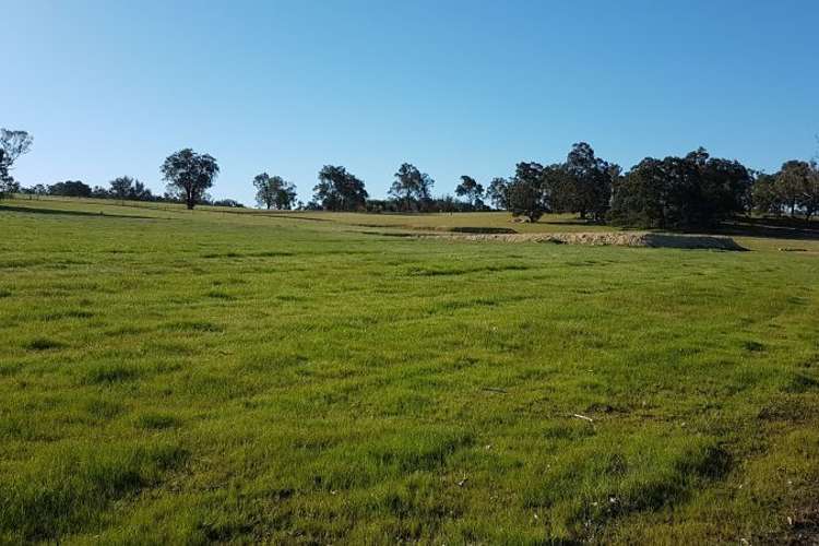 Fifth view of Homely ruralOther listing, 118 Banks Road, Boyup Brook WA 6244