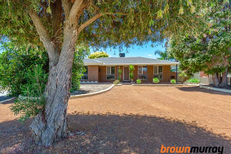 Main view of Homely house listing, 14 Willow Way, Maddington WA 6109