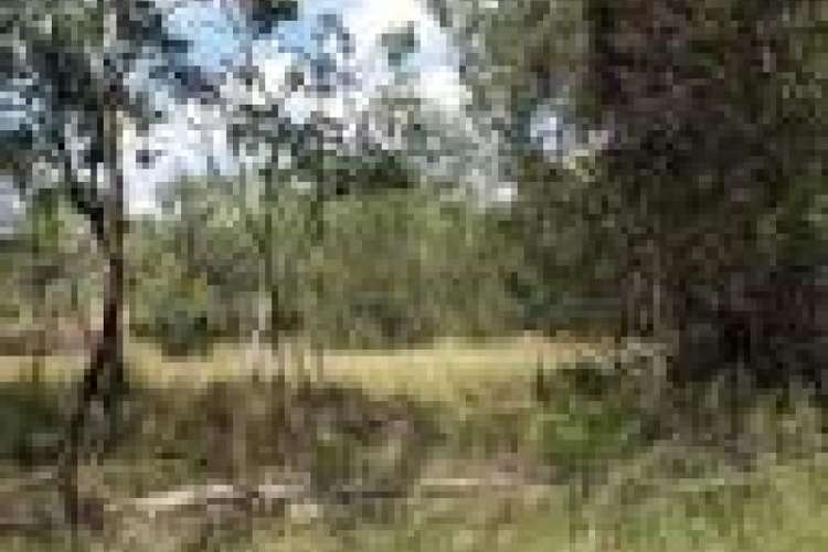 Third view of Homely mixedFarming listing, L44 Copper Creek Road, Pimpimbudgee QLD 4615