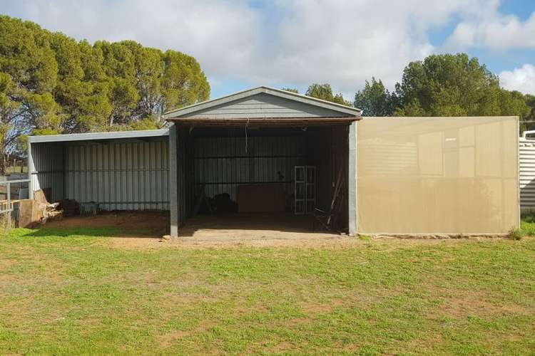 Third view of Homely acreageSemiRural listing, 335 Cowell-Mangalo Rd, Miltalie SA 5602