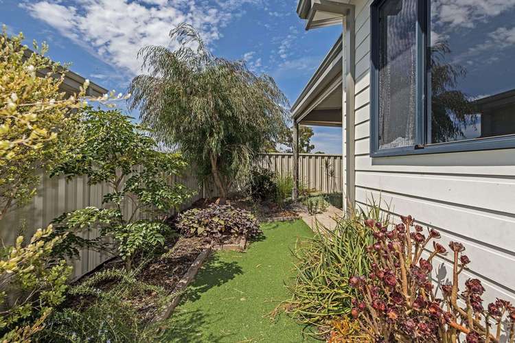 Main view of Homely retirement listing, 206/831 Mandurah Road, Baldivis WA 6171